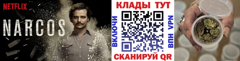 Наркотические вещества Ворсма Бошки Шишки  Кокаин  A-PVP  Меф мяу мяу  ГАШ 