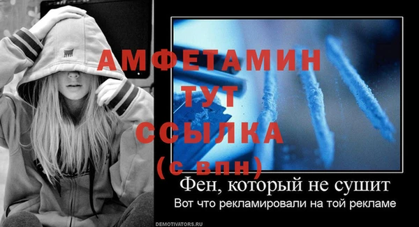 индика Балахна